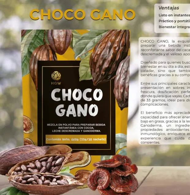 Choco Gano, imagen del catálogo original HGW