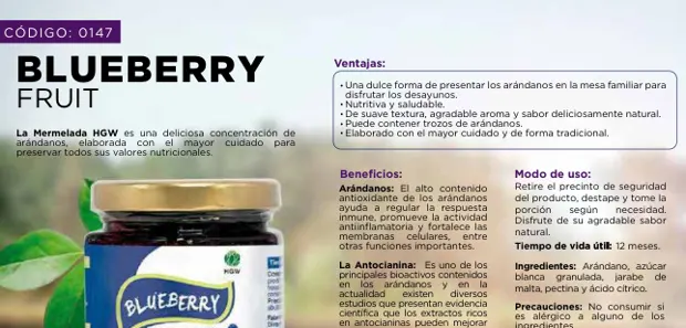 Blueberry Fruit, imagen del catálogo original HGW